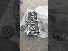 Mitsubishi 4M50 Motorenzylinderkopf